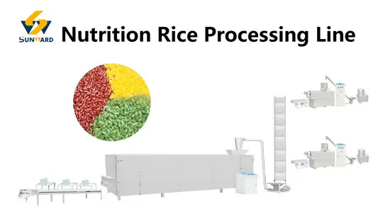 Reisherstellungsmaschine, künstliche angereicherte Reiskörner, Getreidereis, Doppelschneckenextruder-Produktionslinie